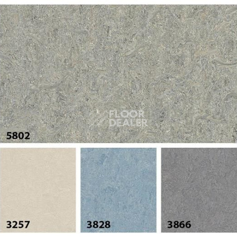 Forbo Marmoleum Decibel on Order 580235 alpine mist фото 3 | FLOORDEALER
